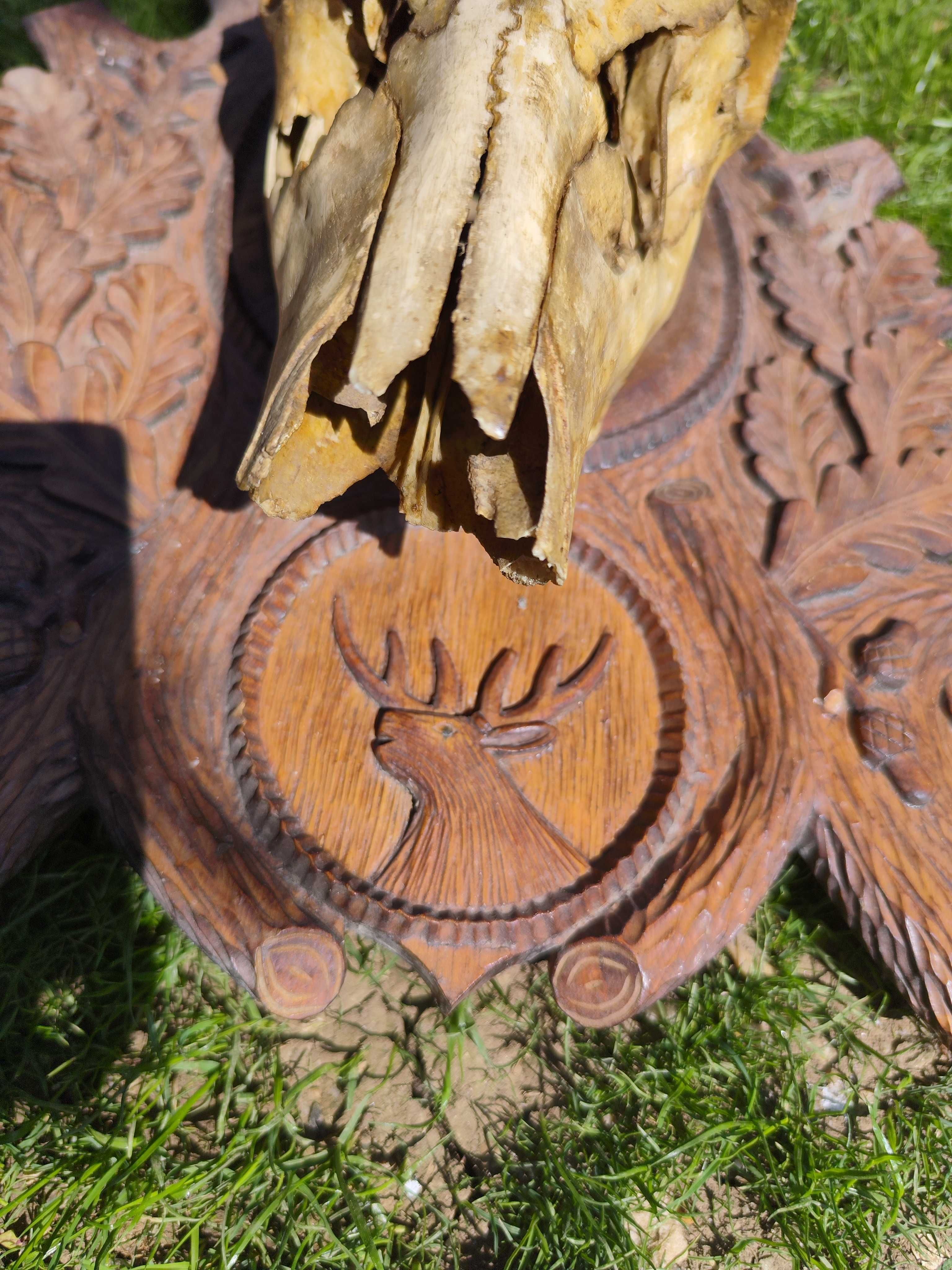 Coarne Craniu Cerb pe Panoplie Lemn Sculptat