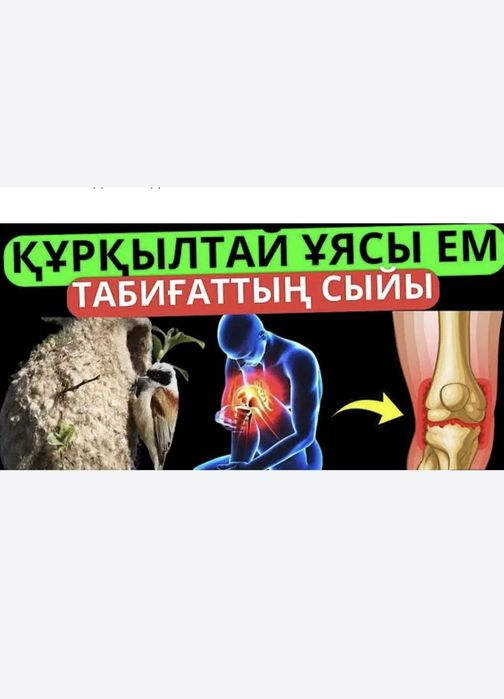 Құрғылтайдың ұясы