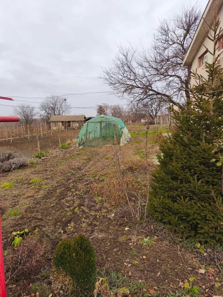 Продава се Къща в с. Ценович, Област Силистра - 120 кв.м за 319 €/кв.м - Снимка #18