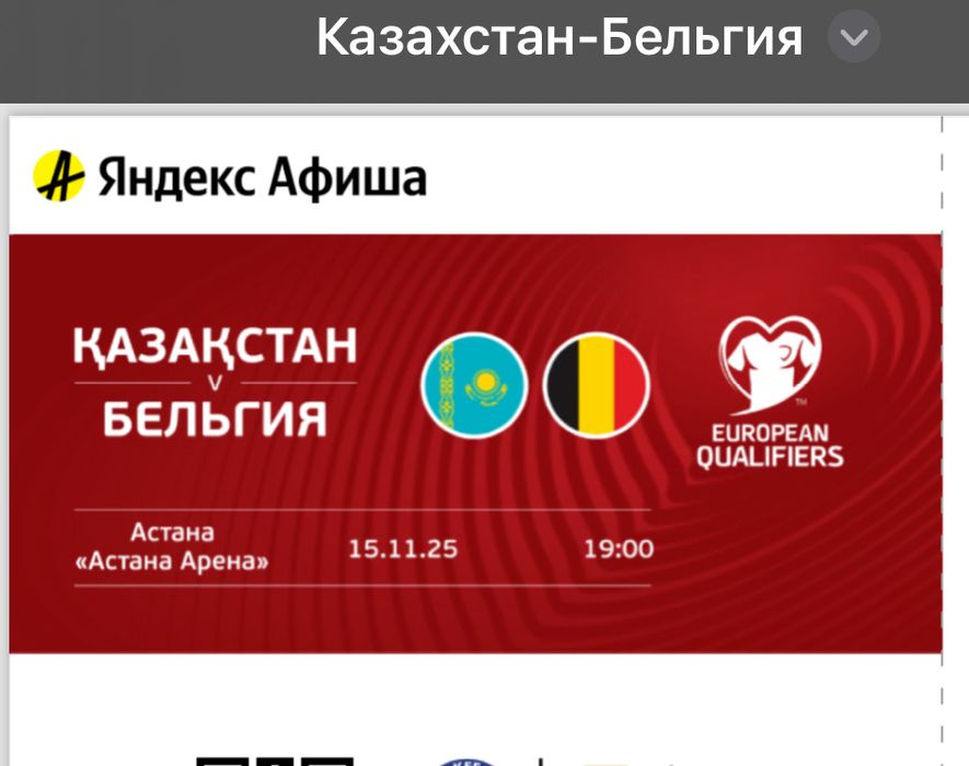 Билет на матч Казахстан Бельгия