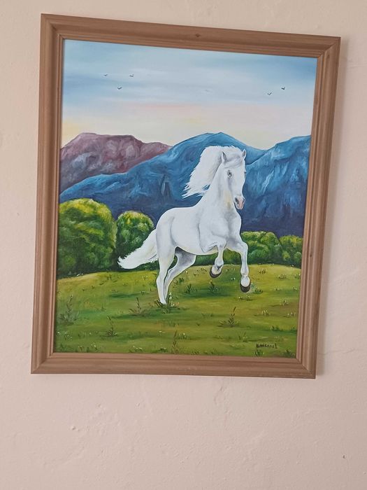 Бял мустанг на свобода