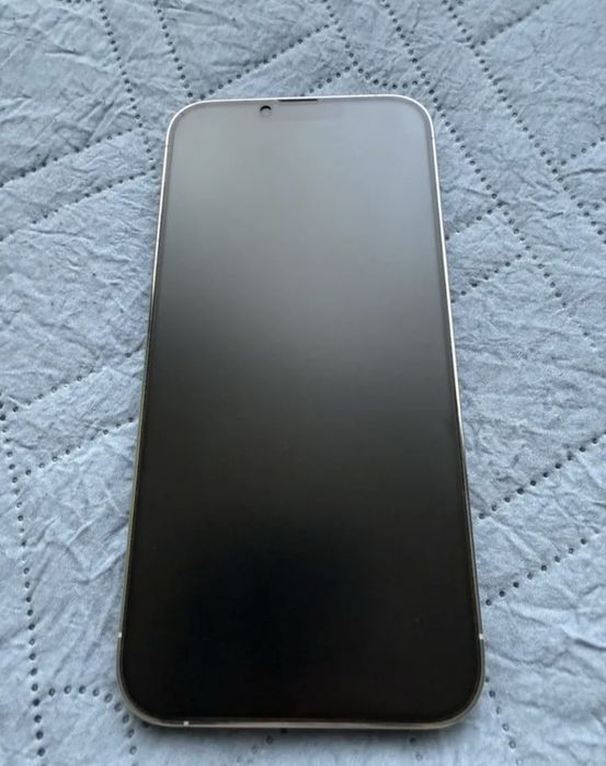 iPhone 13 Pro Max 256Gb Silver