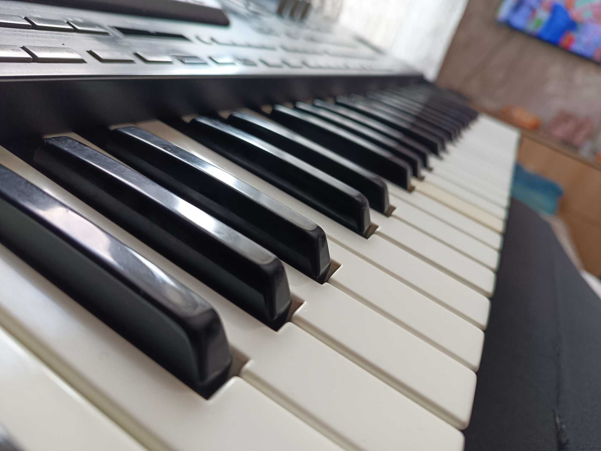 Korg pa3x 256ram