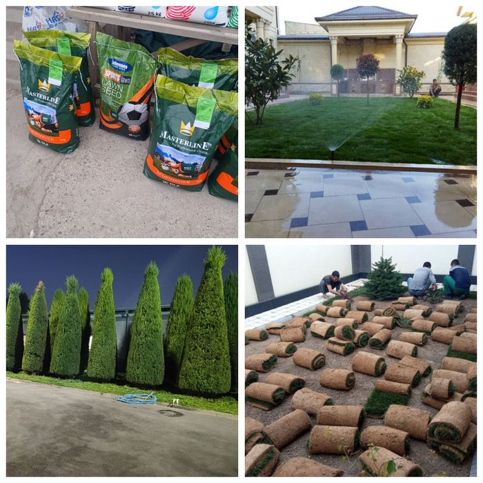 Archa kesish. Gazon ekish