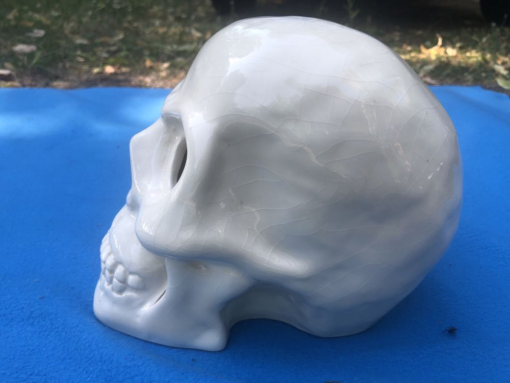 Craniu,skull realistic ,din ceramica emailata