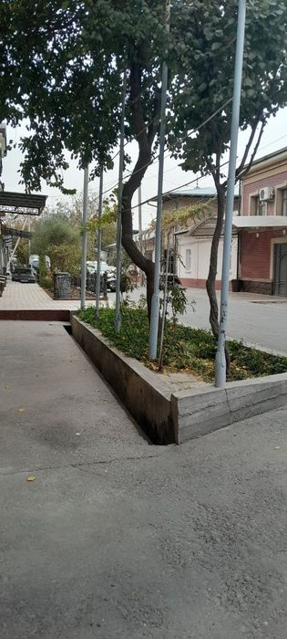 Чилонзор тумани. Мевазор махалла.