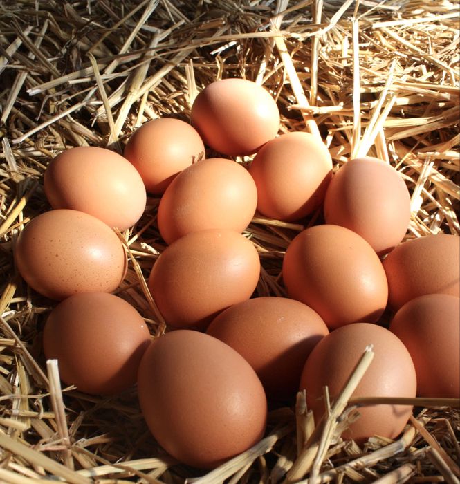 Oua proaspete de casă