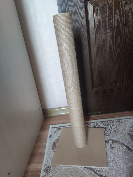 Mushuk uchun o'yinchoq