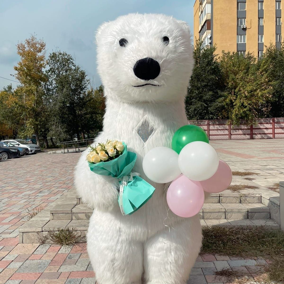 Поздравления от белого медведя