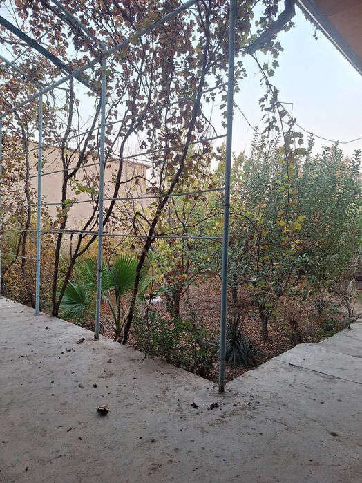 Ховли сотилади 8 сотик