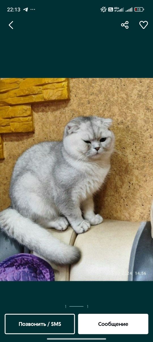 Вязка серебро шиншилла