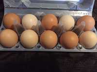 Яйца от селски кокошки 30бр.