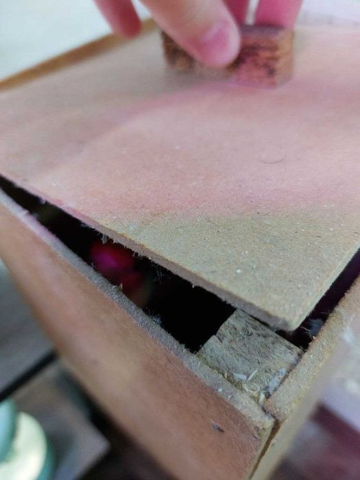 Продаются попугаи неразлучники