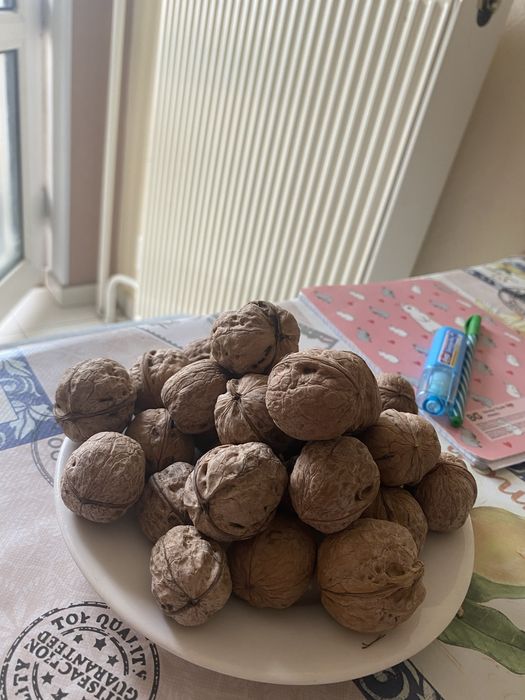 Грецские оркхи!!!1500