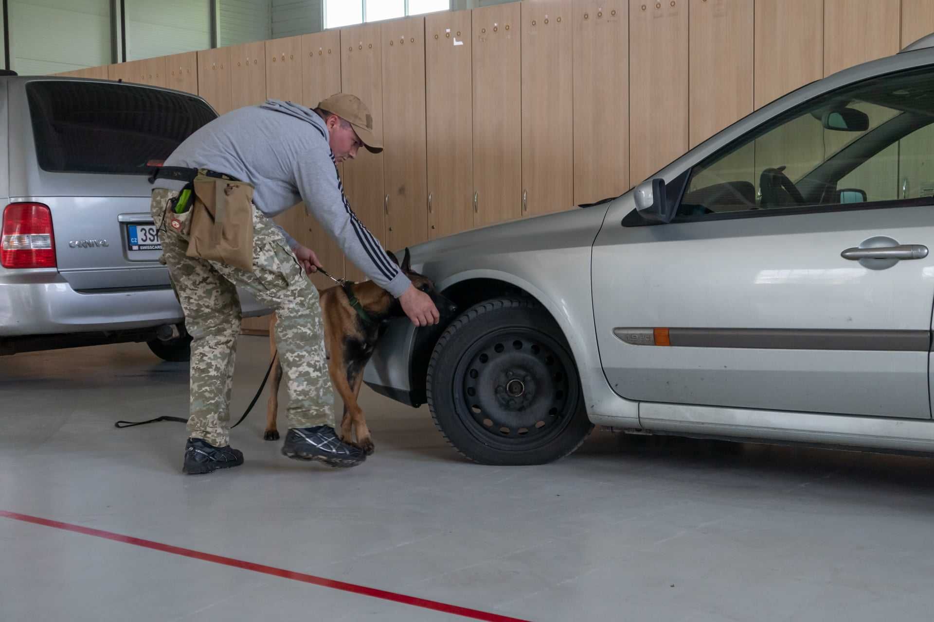 Dresaj canin ( instructor atestat FCI experiență 10 )