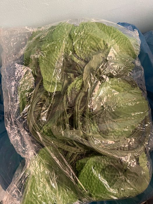 Декоративные листья винограда