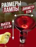 Инфракрасная лампа 100вт