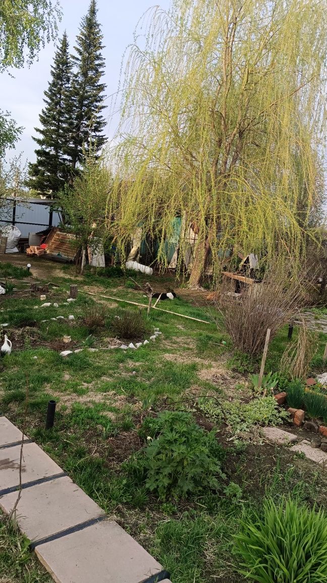 Продам зимнюю дачу в городе