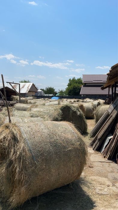 Vand baloti rotunzi de fan