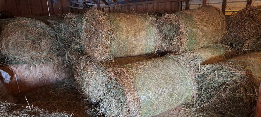 Baloti lucernă rotunzi