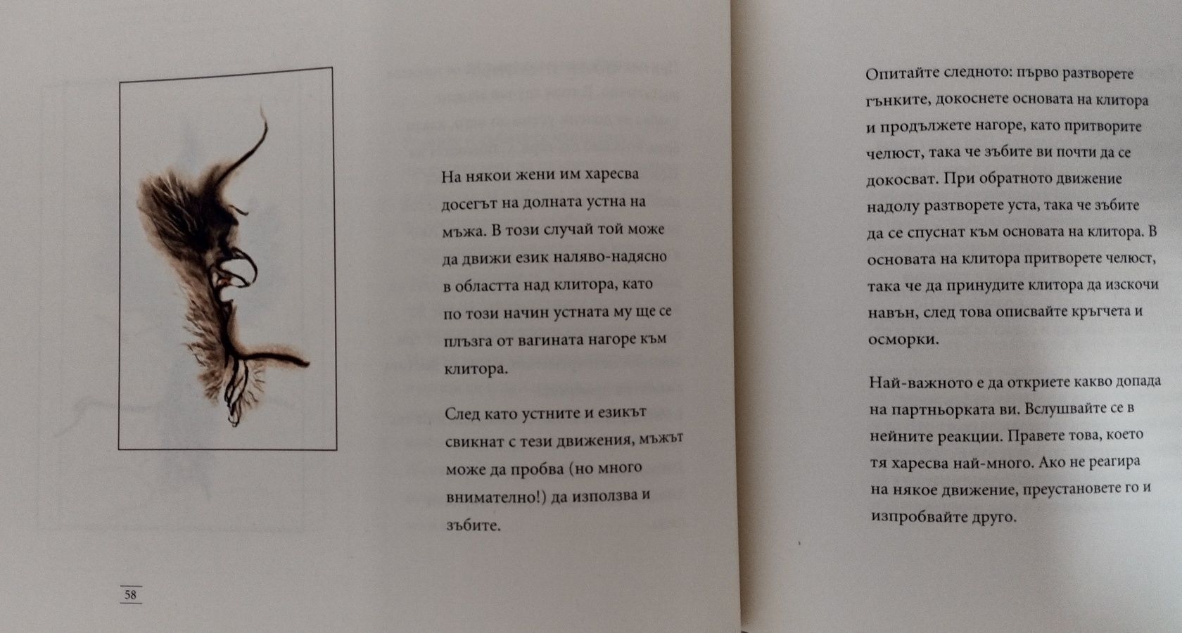 Изкуството на оргaзма, новата Кама Сутра, книга