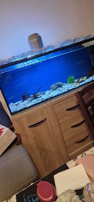 Аквариум 180 литра