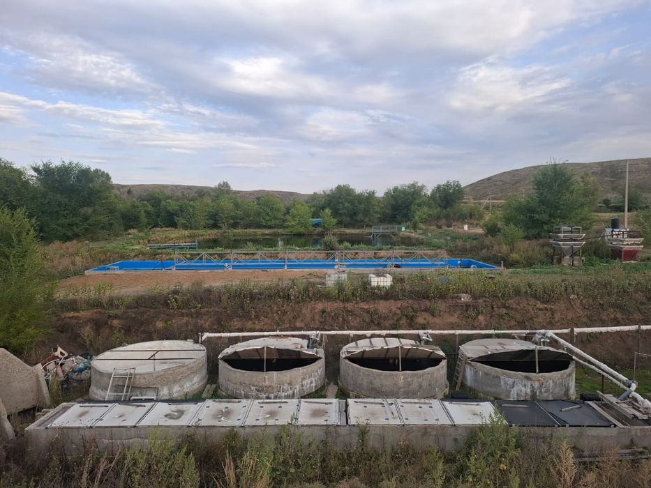 Продается форелевое хозяйство