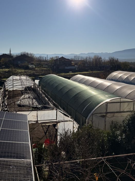 Оранжери. 5 метрови 250 кв