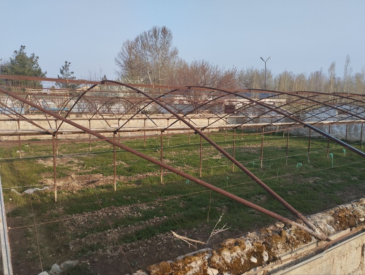 Иссикхона ижарага берилади