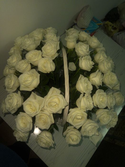 Свежий белый роза