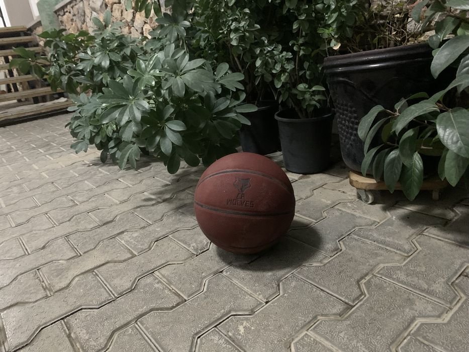 Баскетбольный мяч C.A wolfes оригинал