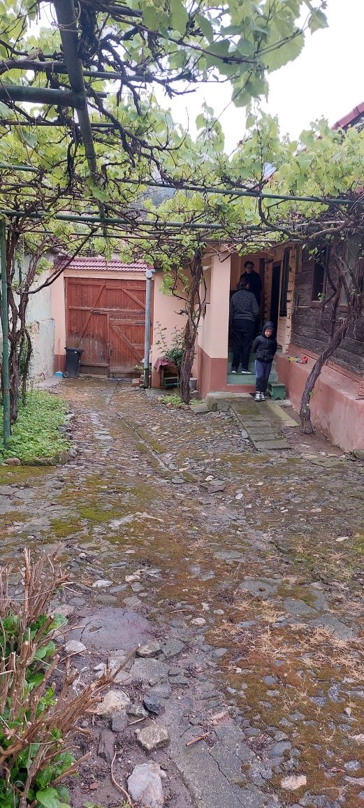 Vând casa in sat vale Săliște