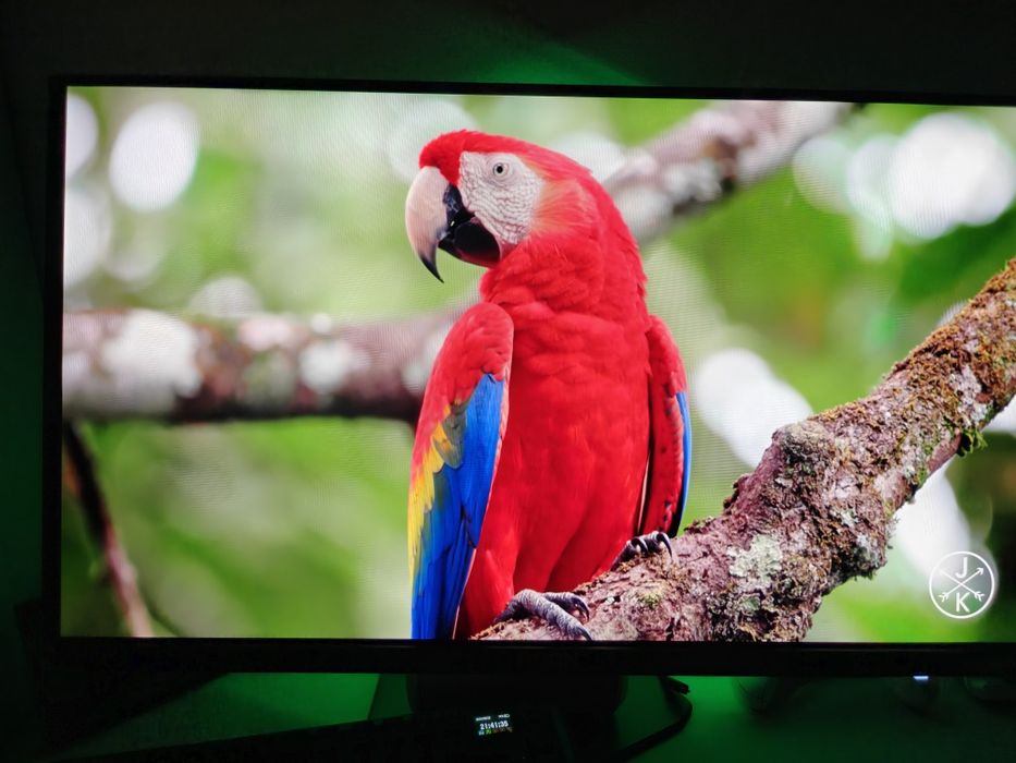 Monitor 240hz OLED
