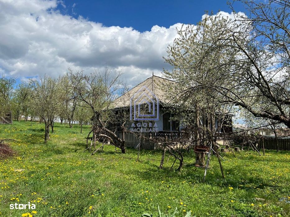 48 ari teren , cu casa batraneasca, Antoceni, Forasti, Suceava