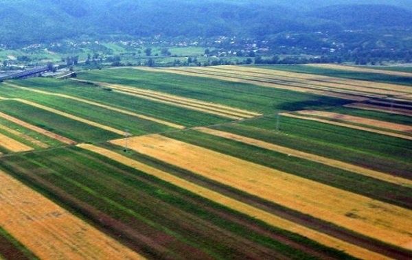 Filmări cu drona