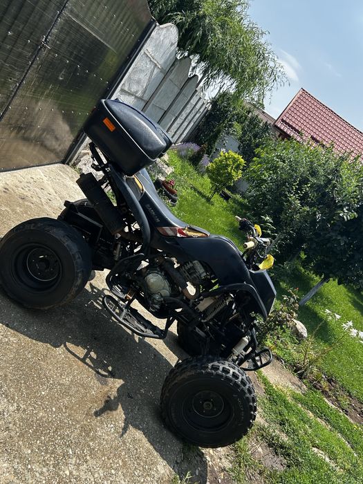 Bashan  250.