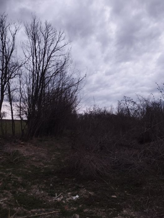 Продава се Парцел в Тръстеник - 2224 кв.м за 2 €/кв.м - Снимка #2