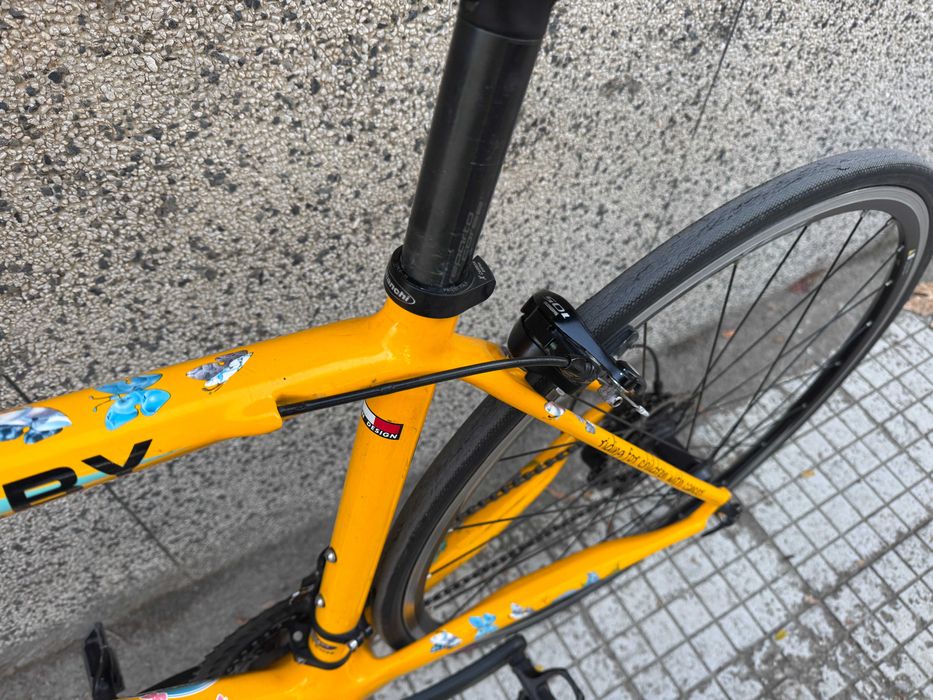 Bianchi Team Rynkeby Carbon/Shimano 105 2x11/шосеен велосипед