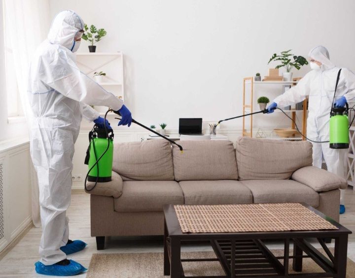 Dezinfeksiya Tarakan klapa