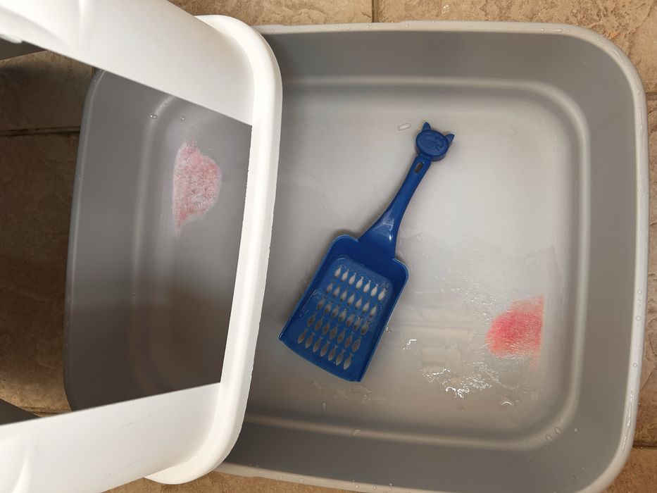 Letiera pisici plus lopetica si tofu lavanda