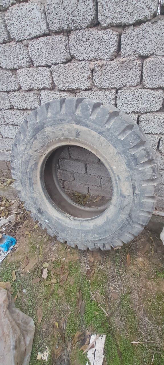 15.5 -25 покришка