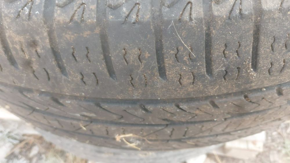 Продается шины Нексен
