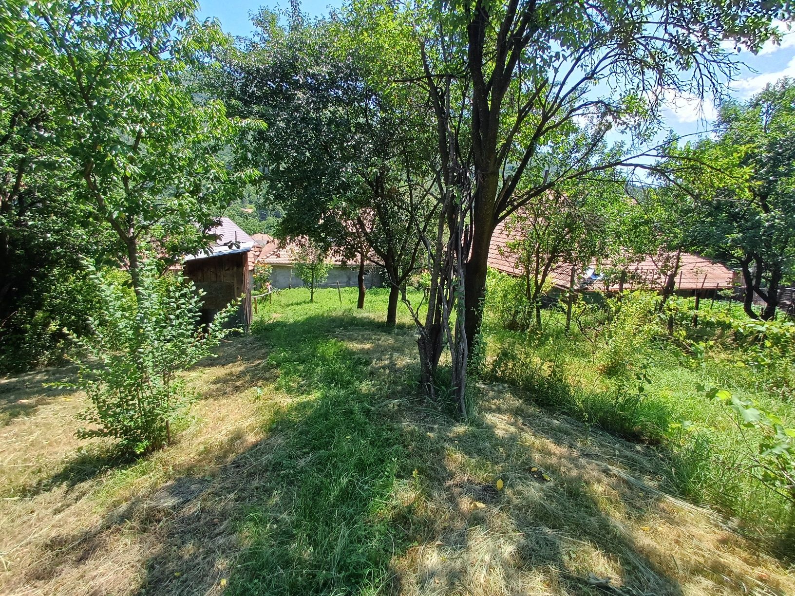 Casa de vânzare Nehoiu