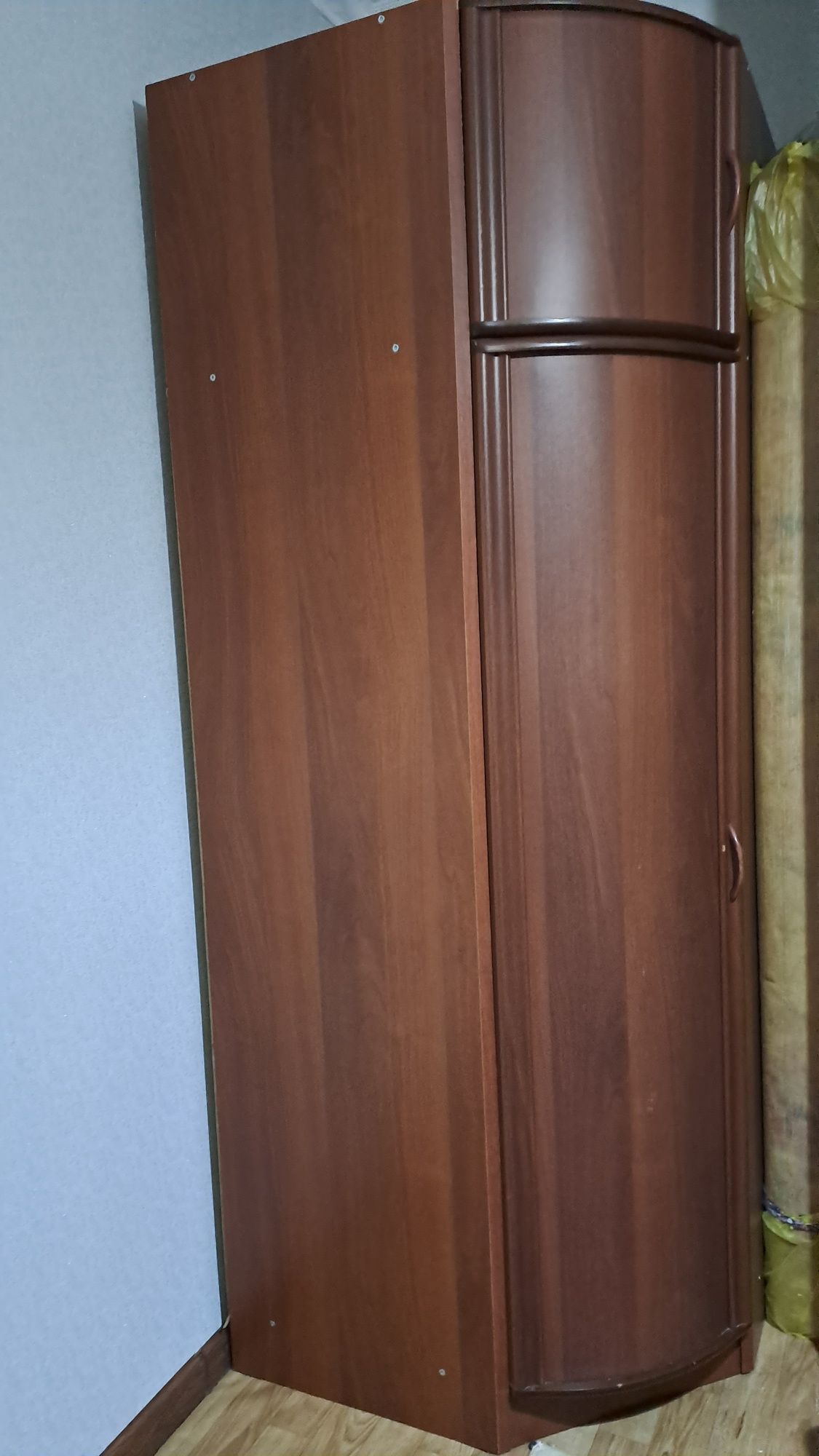 Шифанер  углавой