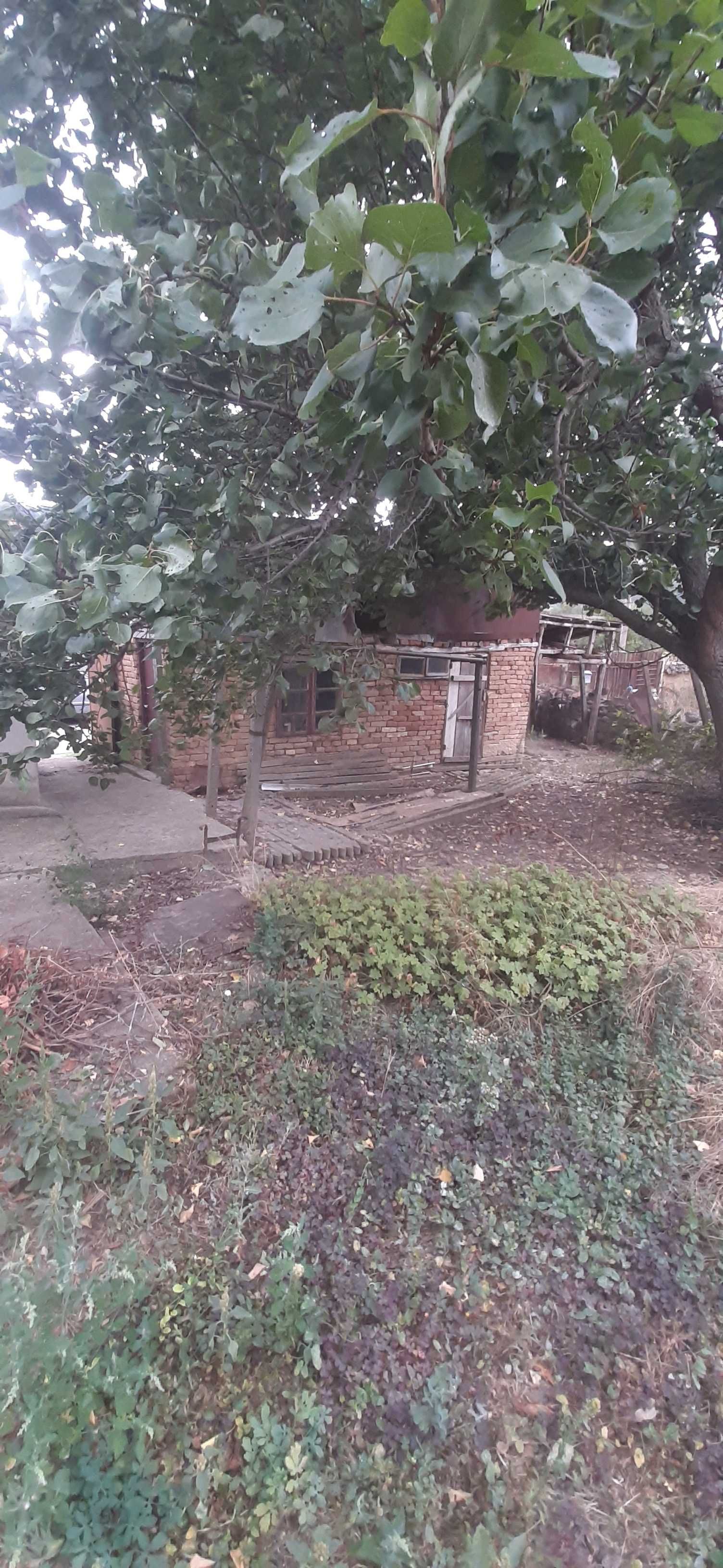 Къща в село Сваленик