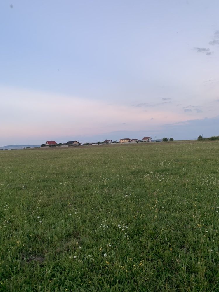 Teren intravilan intre Bod si Sanpetru