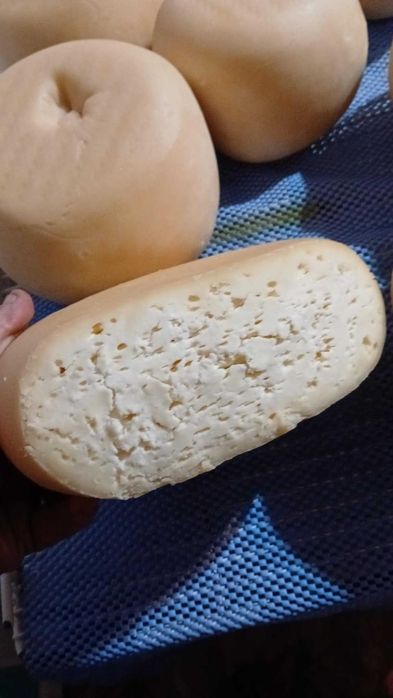 De vanzare produse lactate din lapte de VACA