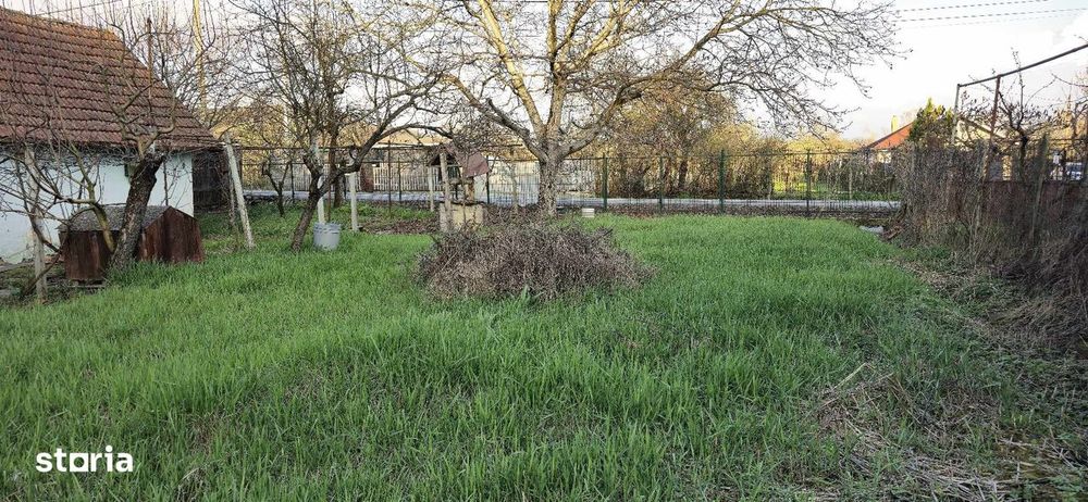 Teren de vanzare str.Facliei, inspre Podgoria