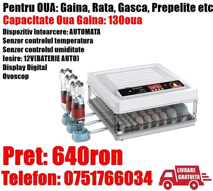 Incubator Clocitoare 130oua Gaina Gasca Rata Automat Livrat GRATUIT CJ