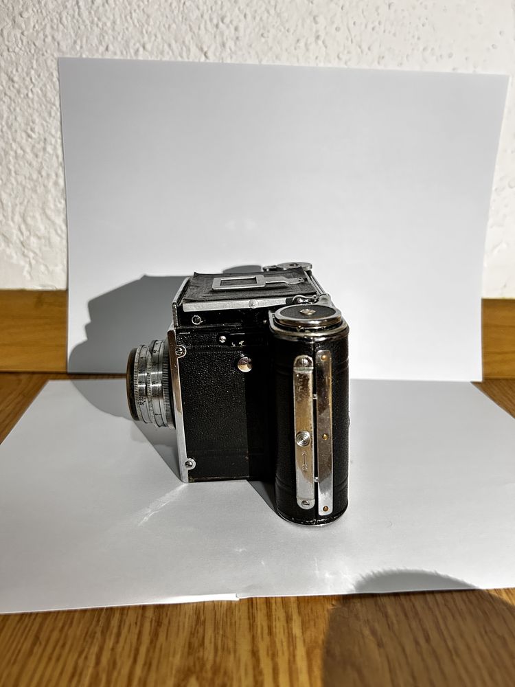 Camera Reflex-Korelle